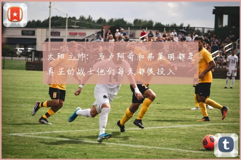 太阳主帅：马卢阿奇和弗莱明都是真正的战士他们每天都很投入